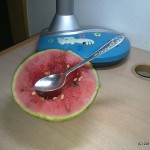 西瓜（无投影）