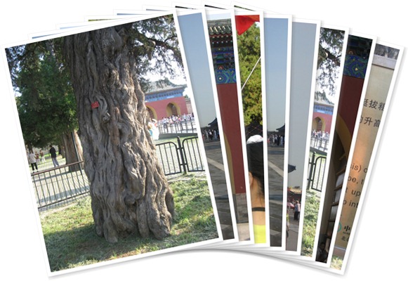 View album